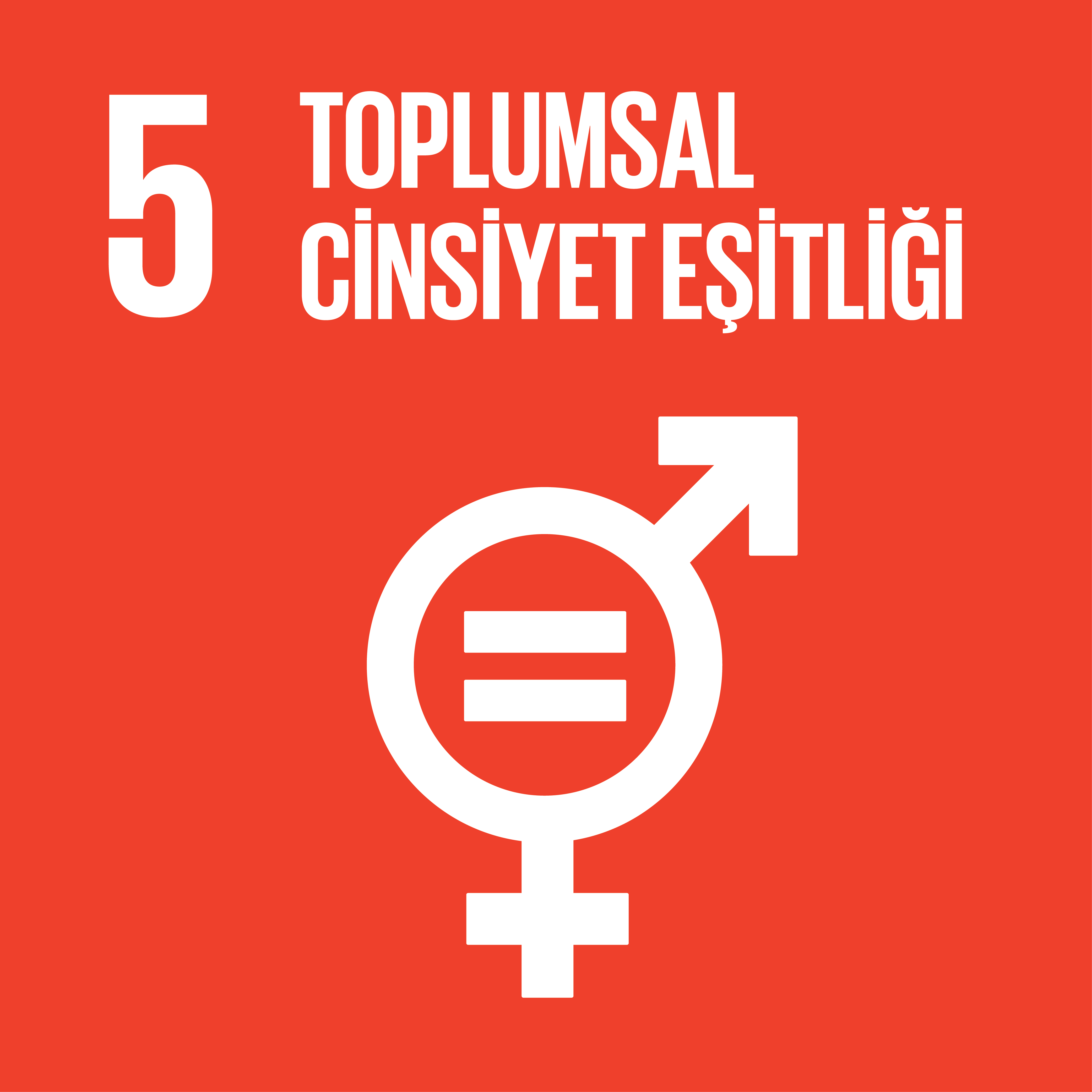 Toplumsal Cinsiyet Eşitliği 